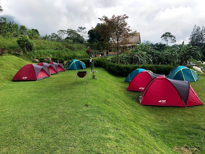 Camping At Strawberry Camp Buyan | Visit North Bali